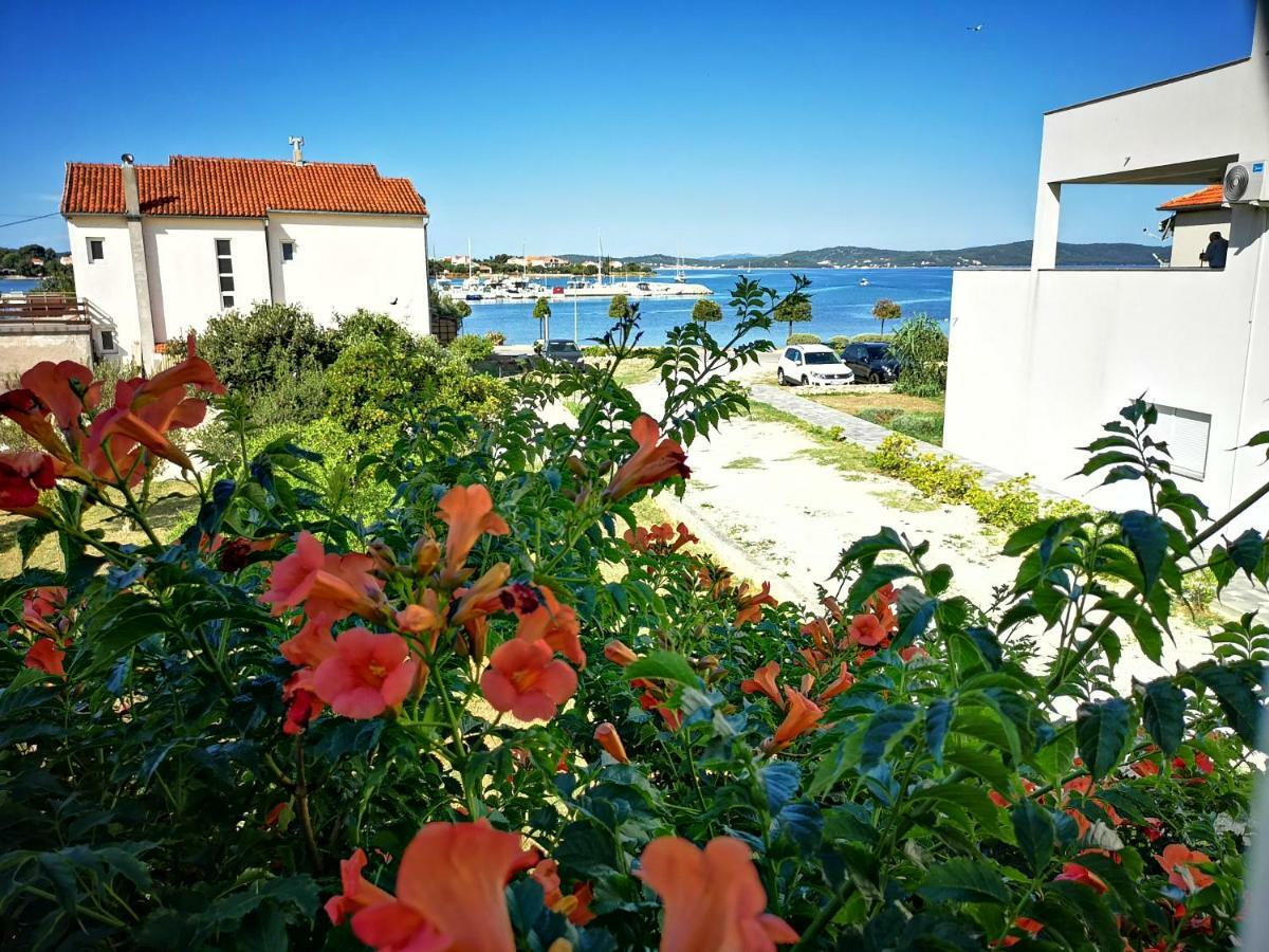 Apartmani Labud Sukošan Εξωτερικό φωτογραφία